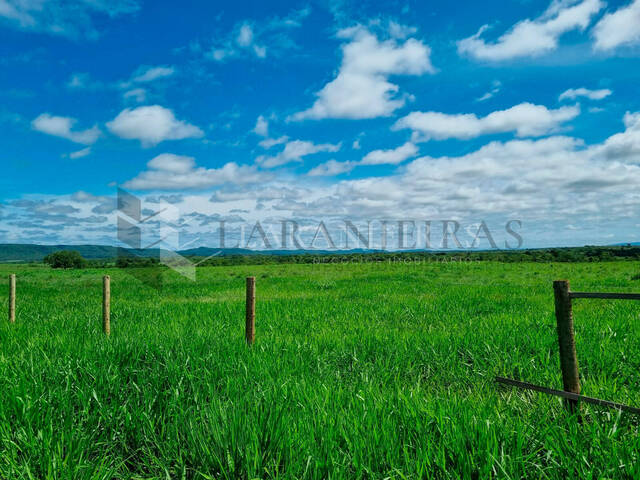 #3 - Fazenda para Venda em Nobres - MT